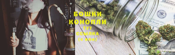 гидра Краснослободск