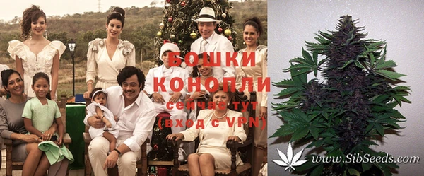 каннабис Горно-Алтайск