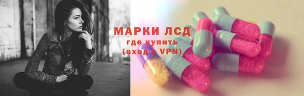 гидра Краснослободск