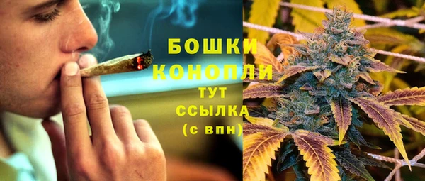 Альфа ПВП Горнозаводск
