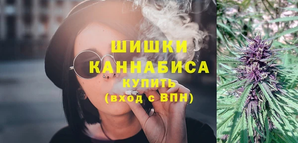 Альфа ПВП Горнозаводск