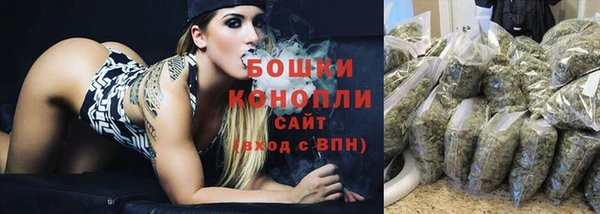 Альфа ПВП Горнозаводск